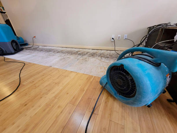 Professional Basement Flood Cleanup technician working in Livermore, ME